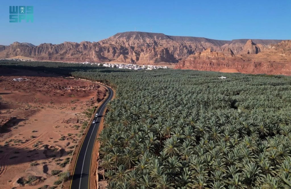 Saudi Date Exports Hit Record SAR1.9 Billion in 2025, Up 14.3%