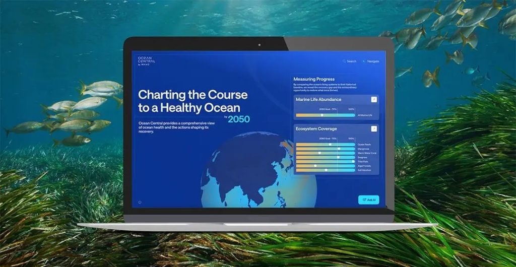 Wave’s Ocean Central Wins 2026 Webby Award for Advancing Ocean Health