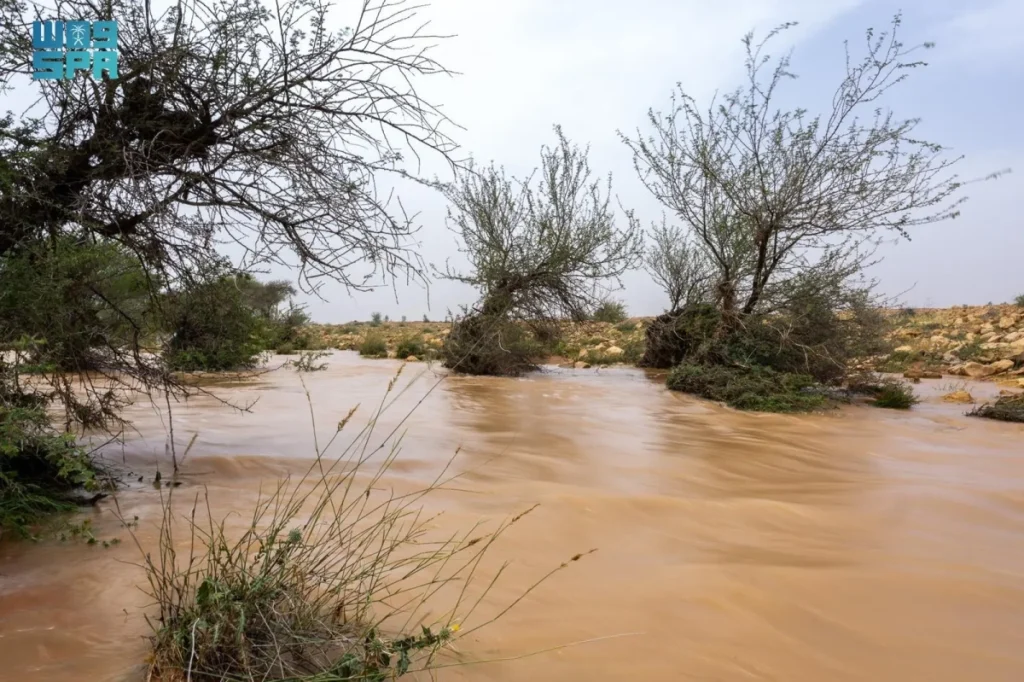 Rainfall rates record 162% higher across Saudi Arabia during first half of April