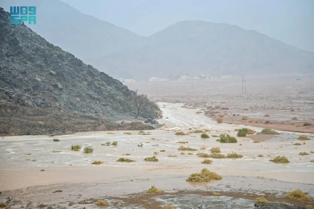 NCM forecast of heavy rain and fog in most Saudi regions