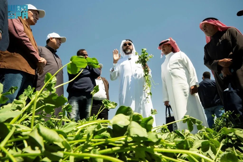Estidamah Hosts Field Day in Al-Jouf to Boost Seasonal Fodder Productivity