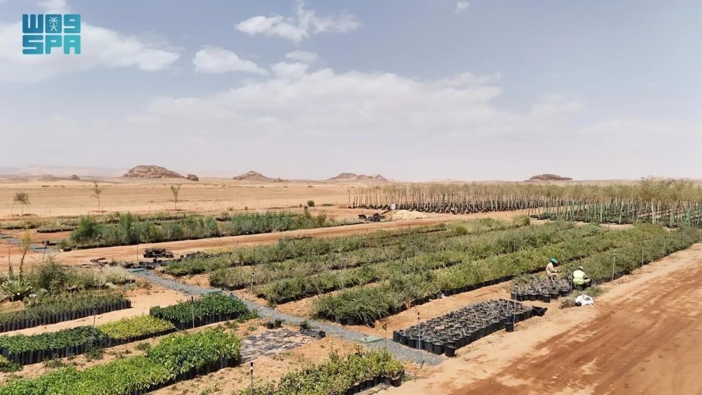 AlUla Plant Nursery, Seed Bank Bolster Ecological Restoration with over 500 Plant Species