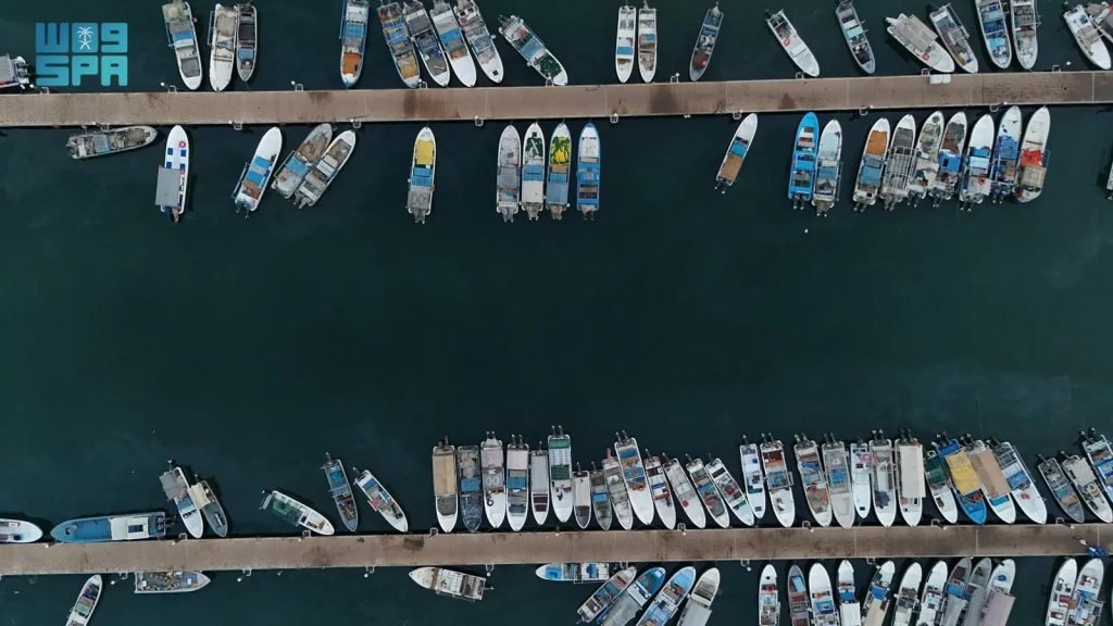 Jazan’s Fishing Season Revives Coastal Economy with Abundant Catches