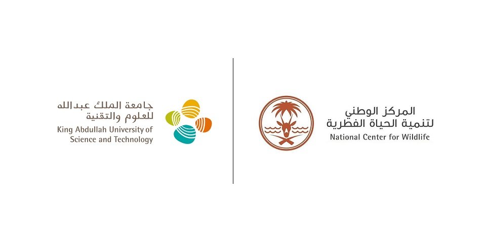 NCW Launches First Program for Breeding, Reintroducing Freshwater Fish in Cooperation with KAUST