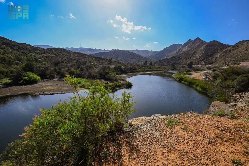 Wadi Dhark in Al-Baha Blooms with Spring Colors Following Rainfall