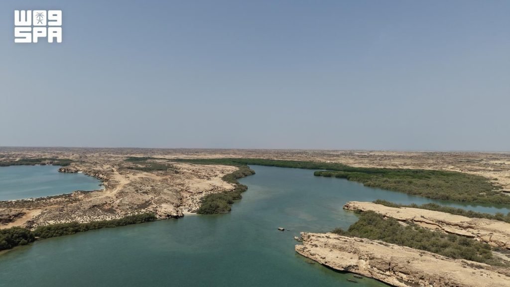 Al-Qandal Forest Attracts Eid Visitors with Scenic Boat Tours, Marine Wildlife