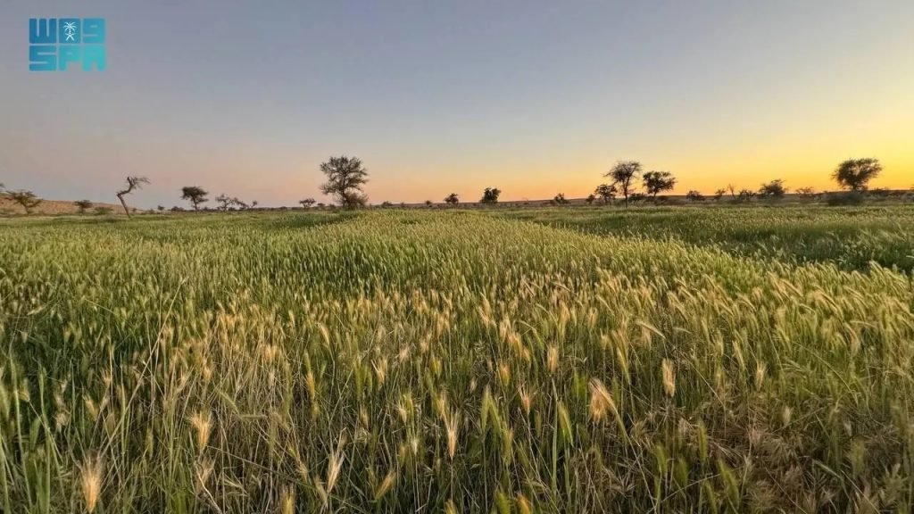 Imam Turki bin Abdullah Nature Reserve Authority Affirms the Importance of Plant Health to Environmental Sustainability, Food Resources