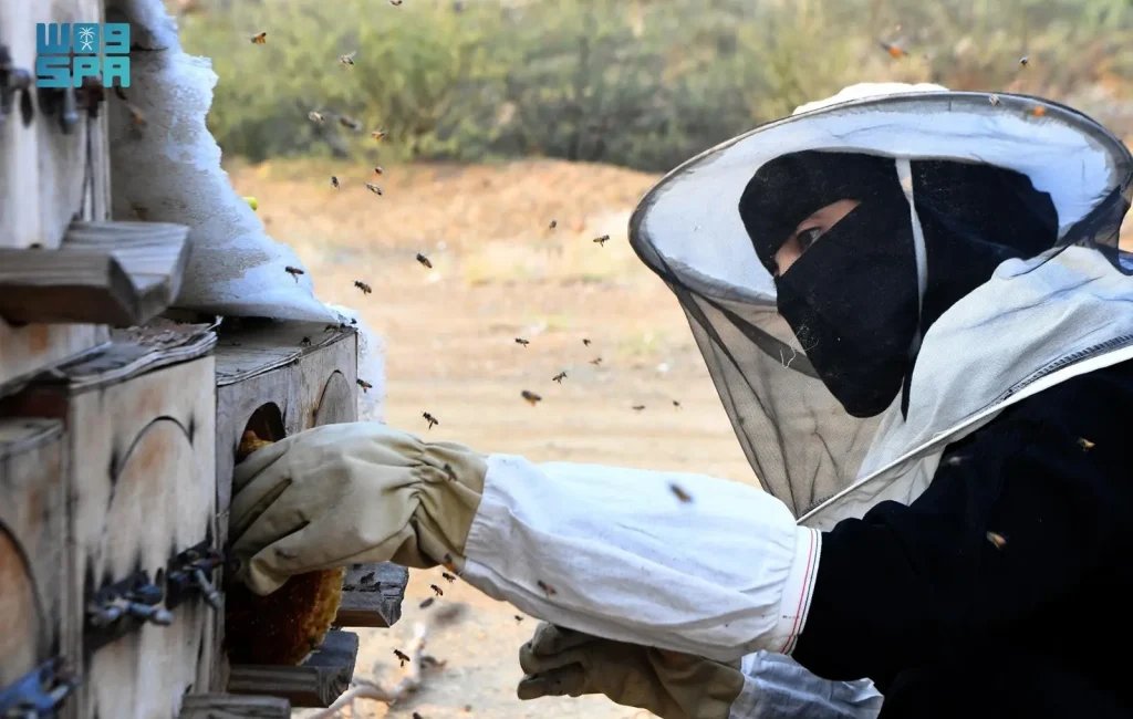 Why Do Aseer’s Beekeepers Migrate Their Hives Between Mountain Peaks and Coastal Plains?