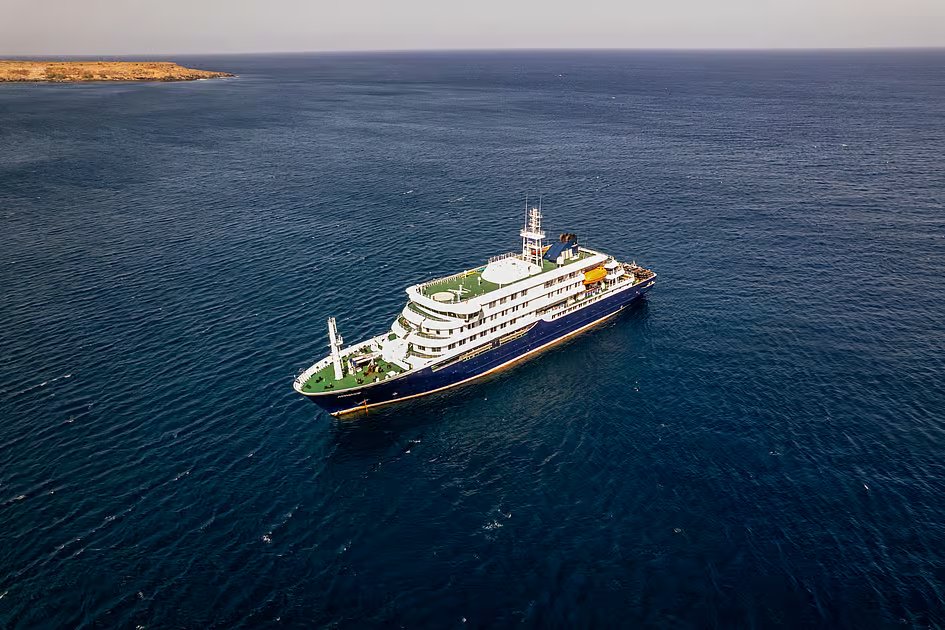 Two hantavirus cases confirmed, five suspected on cruise ship, says WHO