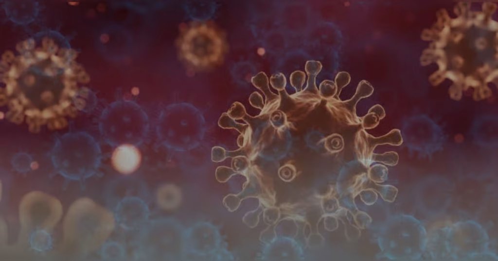 UAE confirms it is ready to address any emerging situations related to Ebola virus