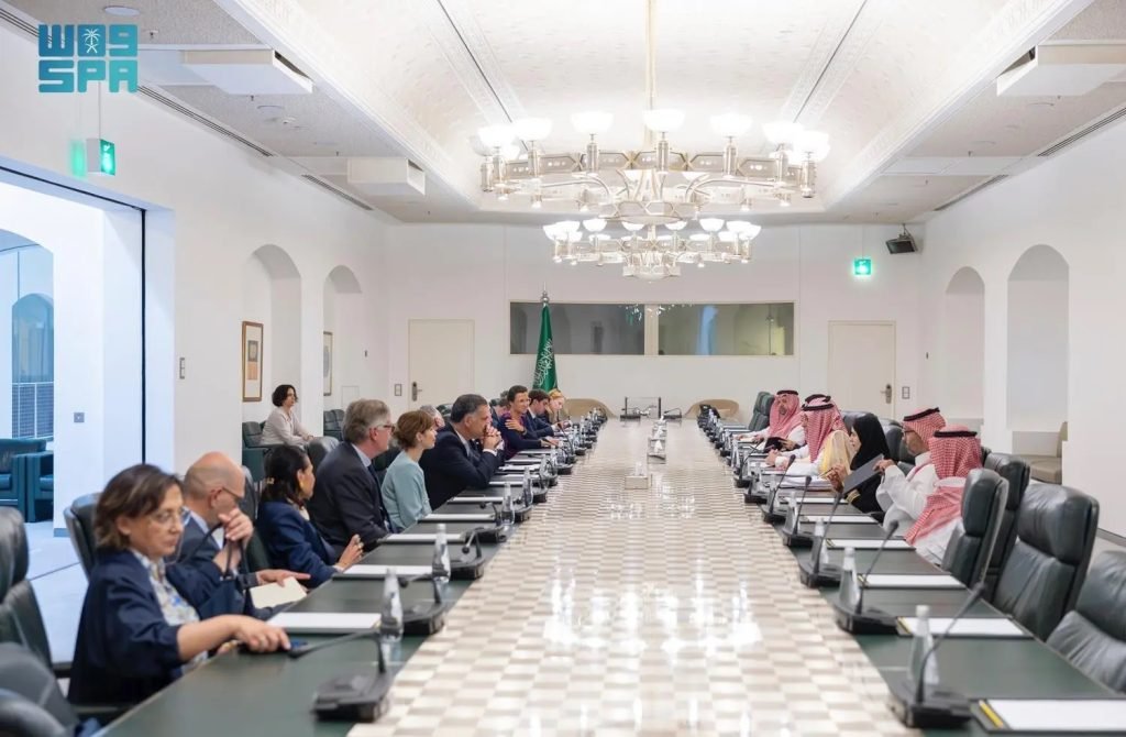 Minister of State for Foreign Affairs Receives European Parliament Delegation