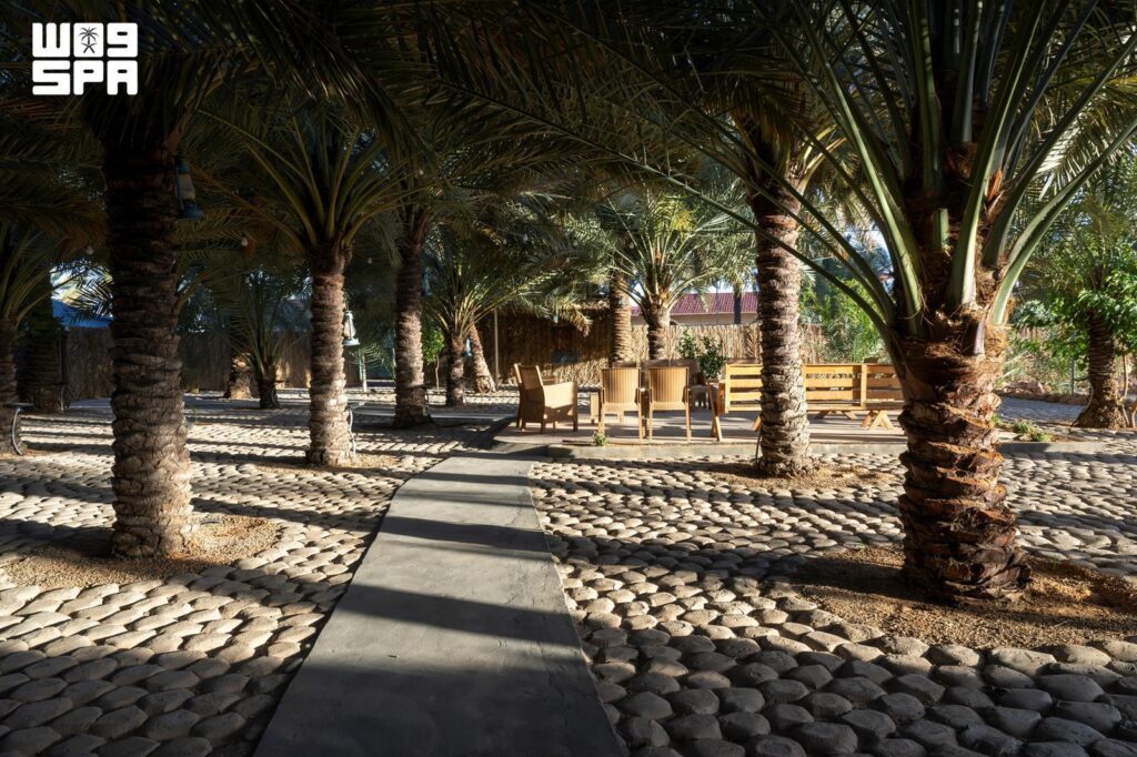 Licensed Heritage Farm in Sakaka Showcases Al-Jouf’s Rich Agricultural Legacy