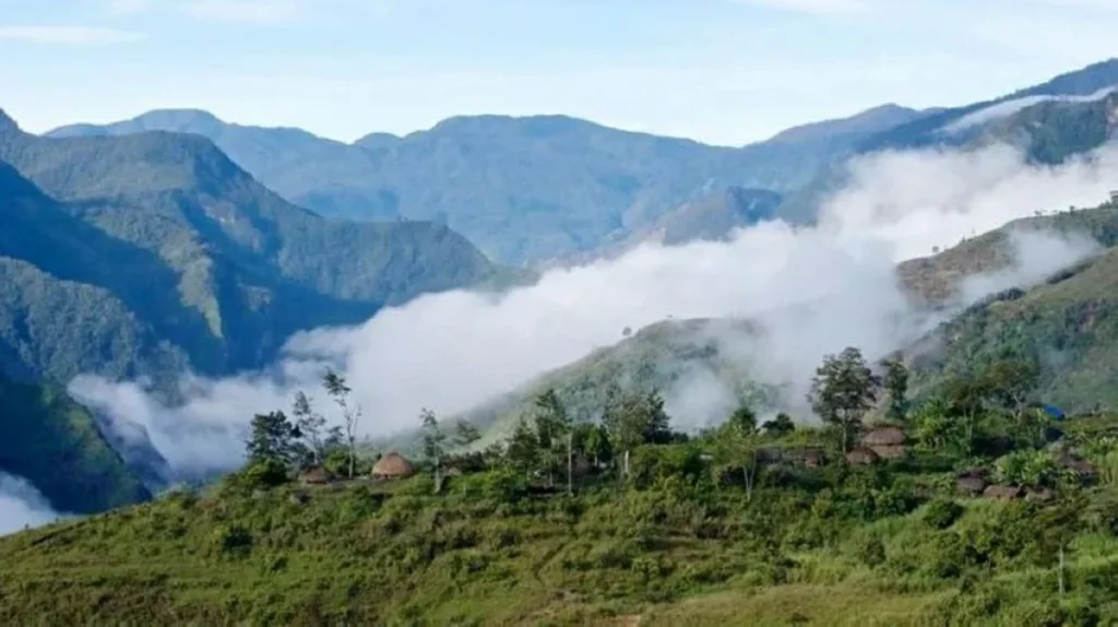 Papuan rebels gun down US pilot and burn his plane