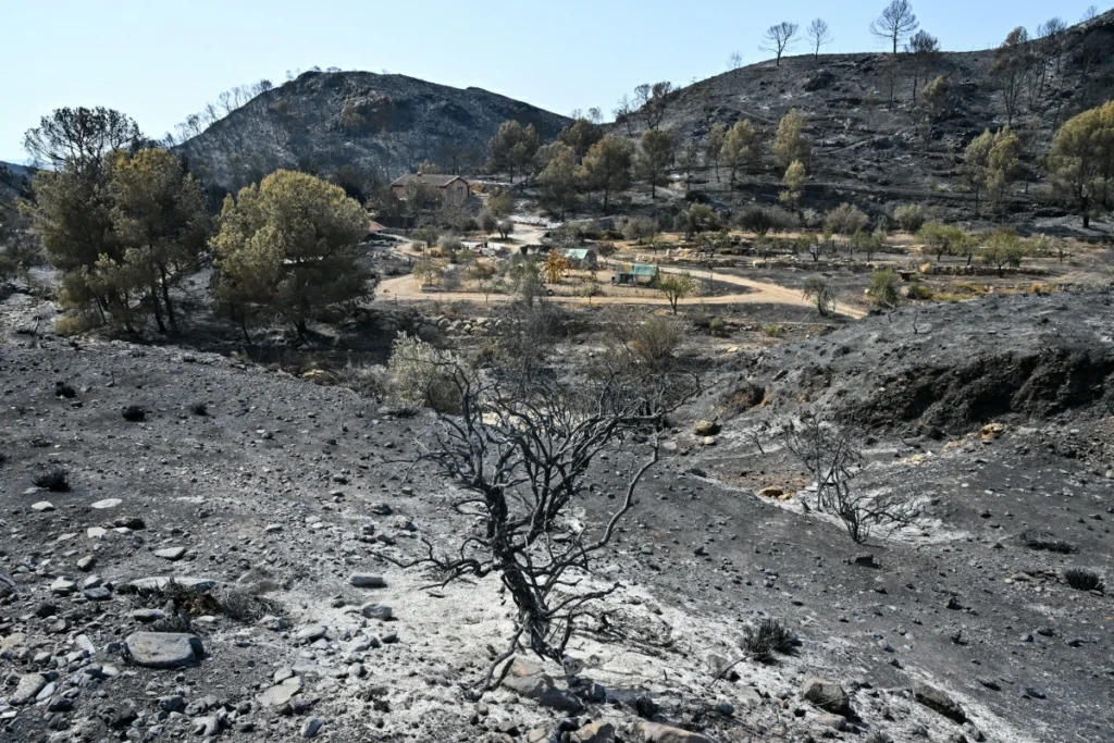 Spain wildfire death toll rises to 12 as firefighters battle massive blaze