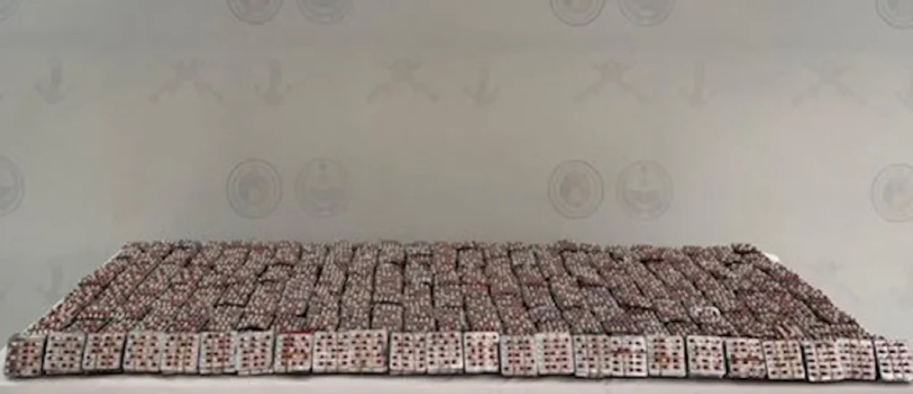 Jazan Border Guard foils attempt to smuggle 68,100 regulated medical tablets