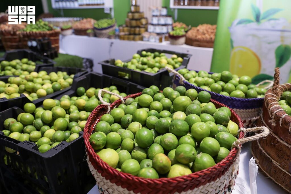 Saudi Reef Program Boosts Al-Hasawi Lime Production and Sustainability
