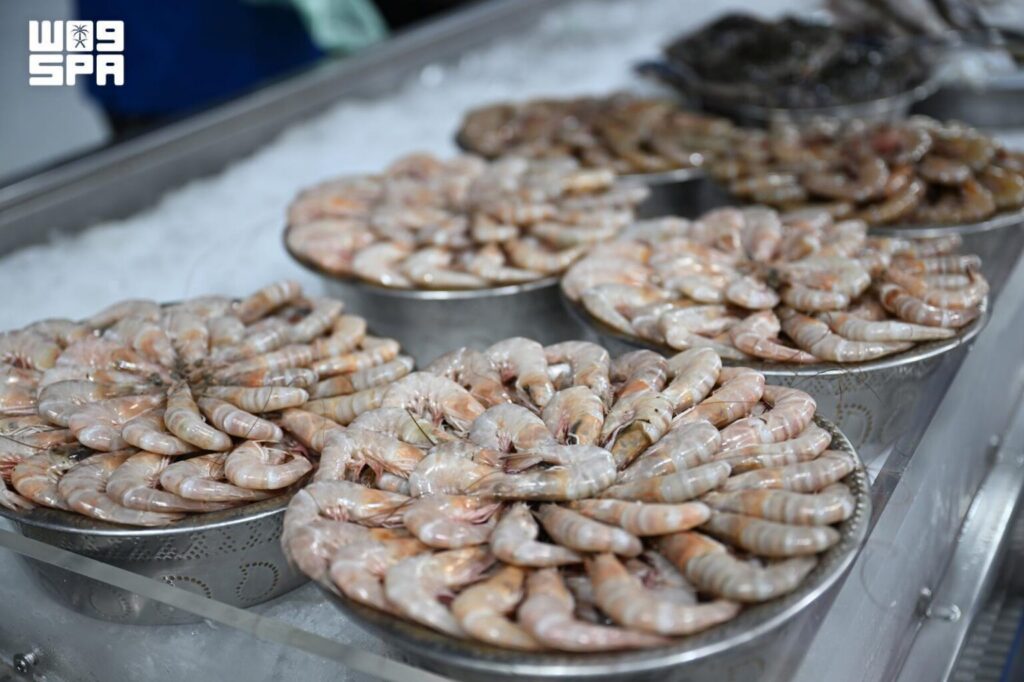 Shrimp Season Arrives in Jazan Fish Markets