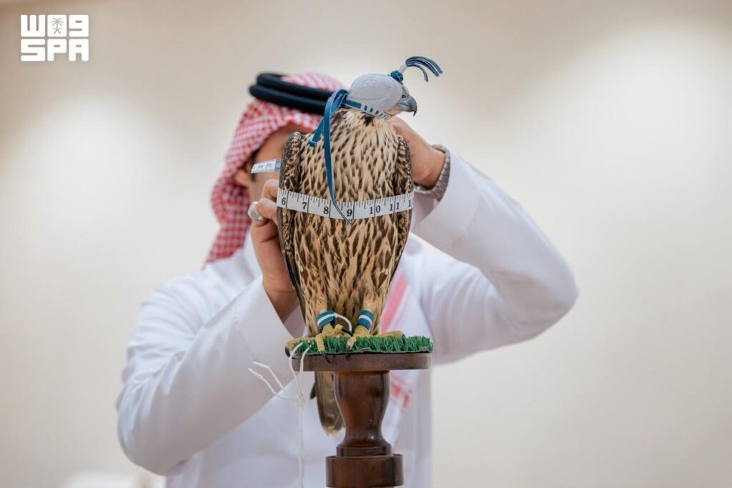 Northern Saudi Arabia Welcomes Annual Falcon Migration and Trapping Season